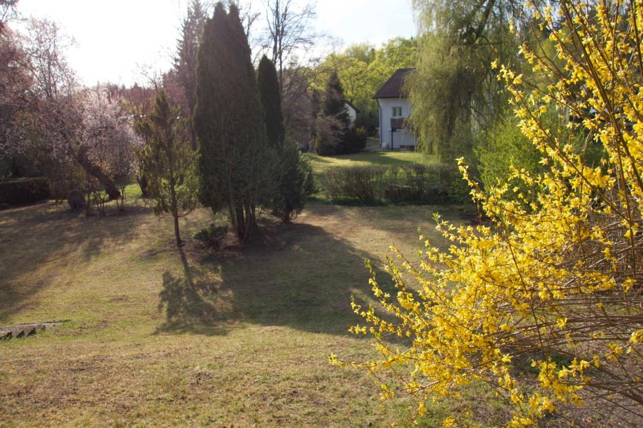 Ferienhaus Sonne Bad Dürrheim Zewnętrze zdjęcie
